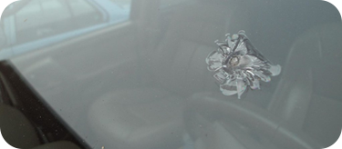 Windshield chip repair